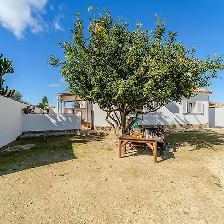 Casa Luisa 2 Ruhig Zitronenbaum
